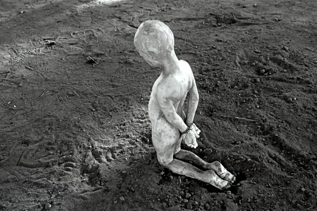 Tomasz Górnicki: Rzeźbiarz, który zmienia sztukę. Poznaj jego dzieła!