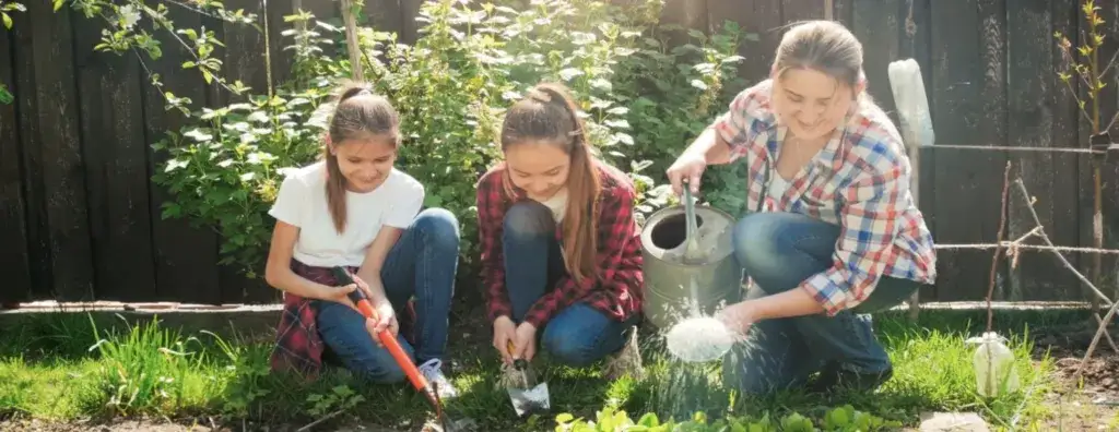 Jakie drzewa na działkę rekreacyjną: wybierz łatwe w uprawie gatunki