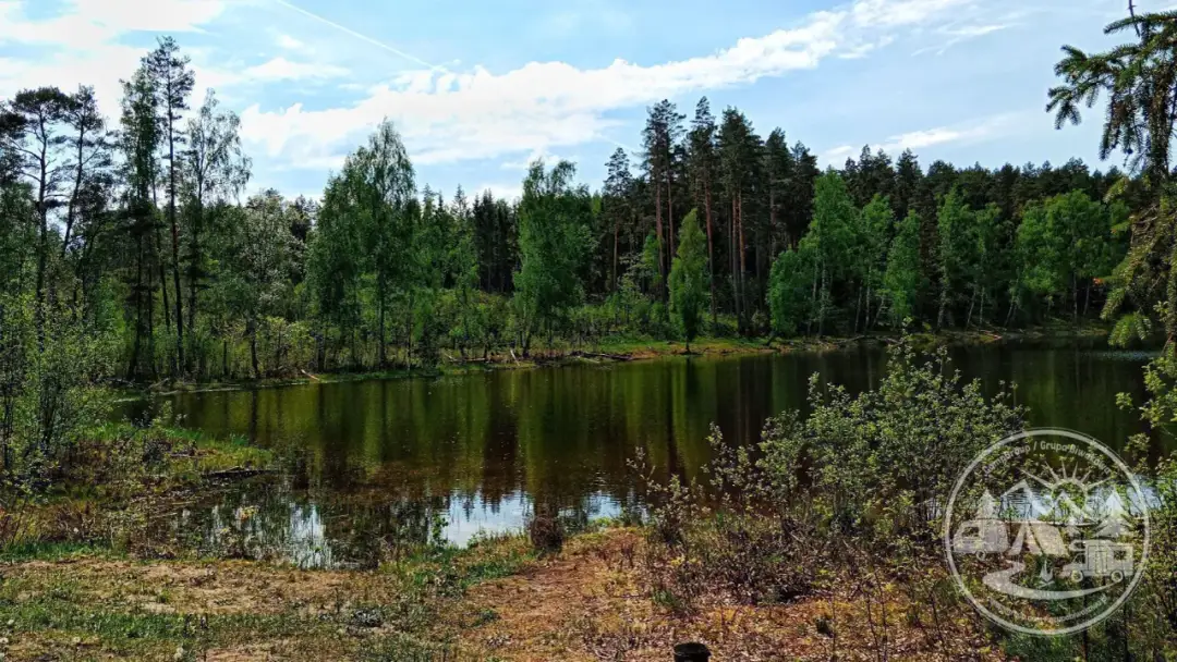 Jezioro Czarne koło Płotów: Odkryj raj w Zachodniopomorskiem!