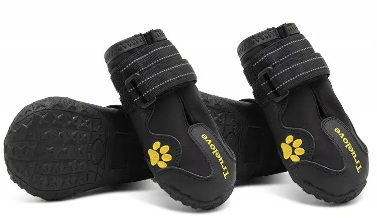 Jak wybrać buty dla psa w góry: kompletny poradnik dla właścicieli