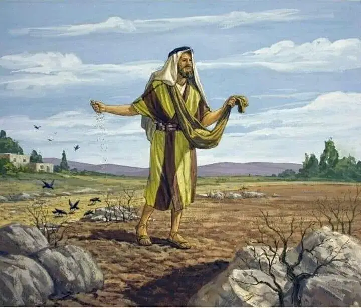 Przypowieść o zasiewie: odkryj jej głębokie znaczenie i przesłanie