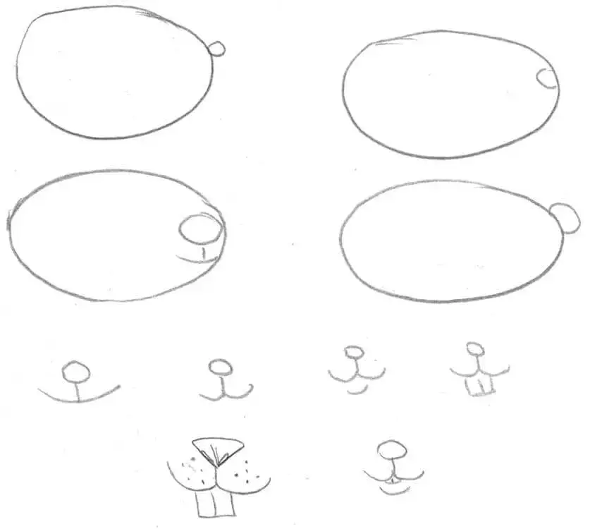 Maus malen: Einfache Schritt-für-Schritt-Anleitung für Anfänger