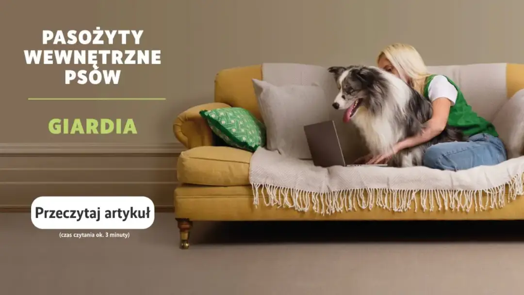 Co na odrobaczanie psa i kota? Wiem, jak ochronić pupila!