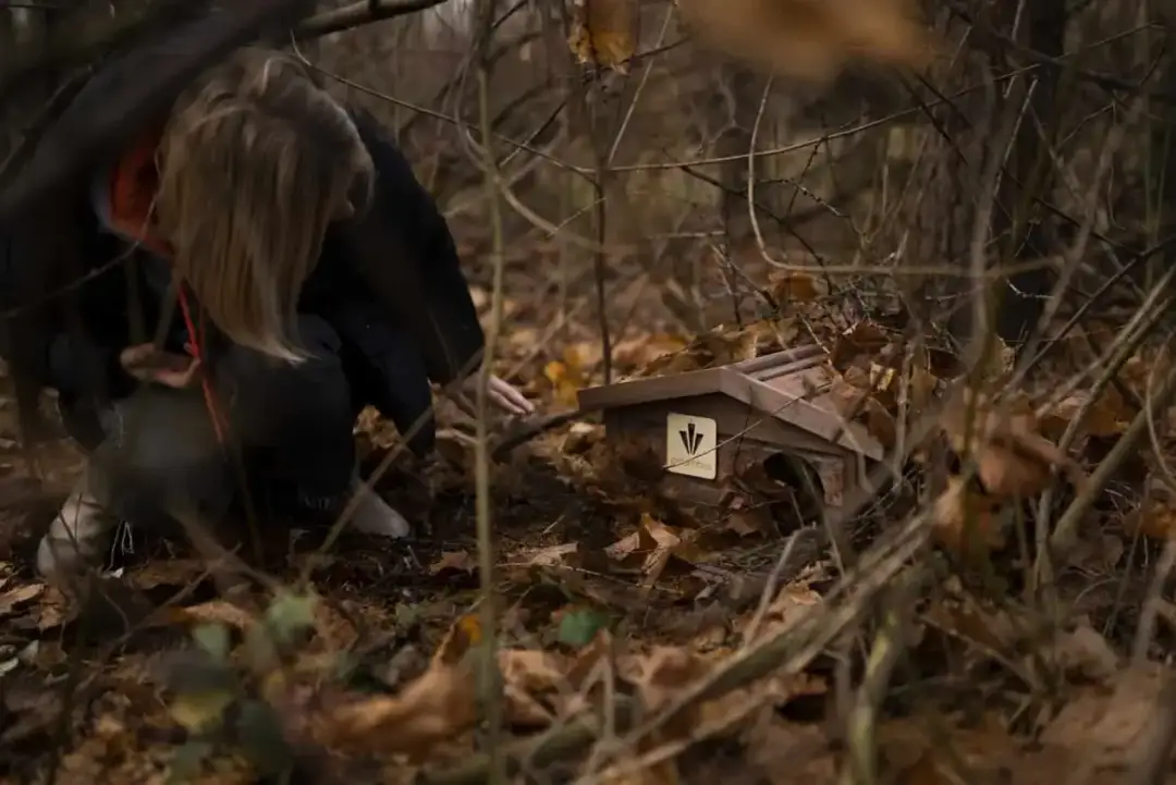 Gdzie jeże zimują? Odkryj ich tajemnicze schronienia na zimę