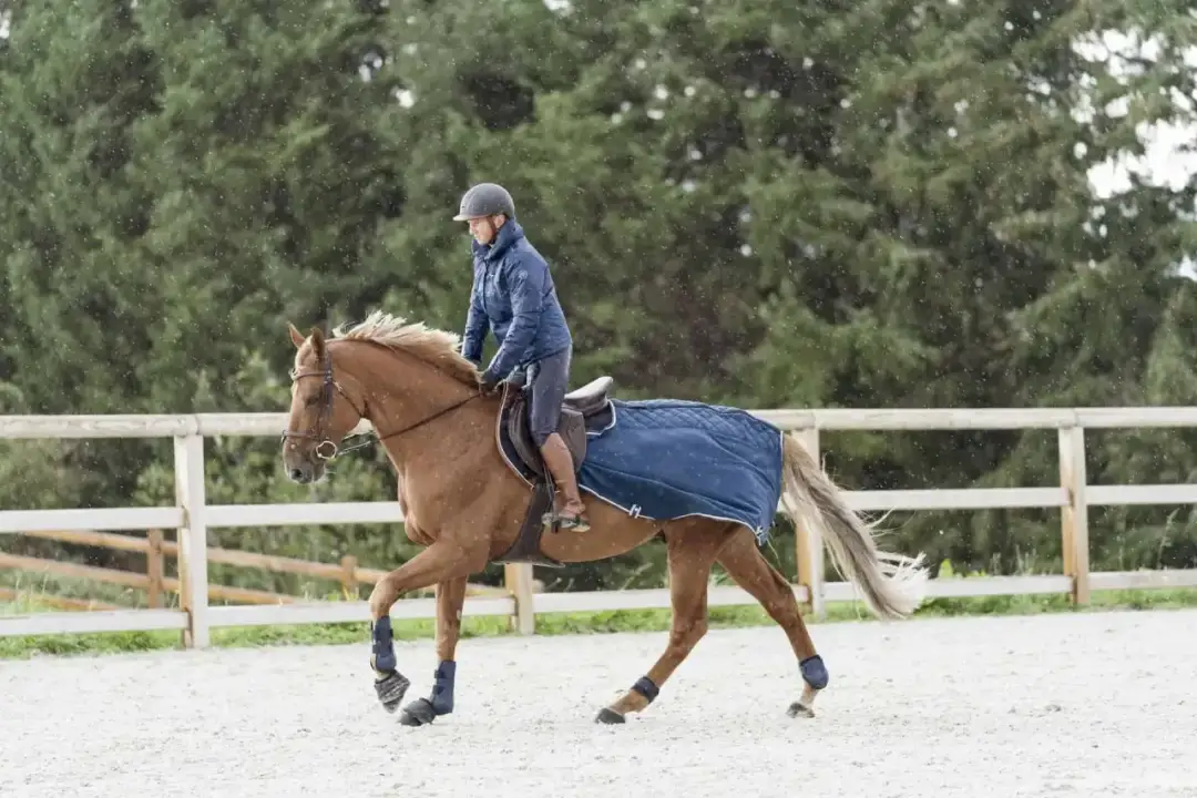Jazda konna: Ile kalorii spalisz? Twój ukryty trening siłowy!