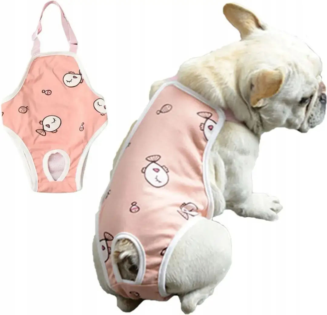 Jak zrobić majtki dla psa z maseczki – proste i wygodne rozwiązanie