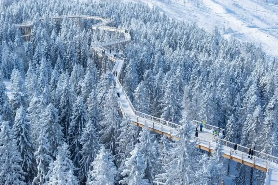 Najlepsze atrakcje w Białce Tatrzańskiej, które musisz odwiedzić