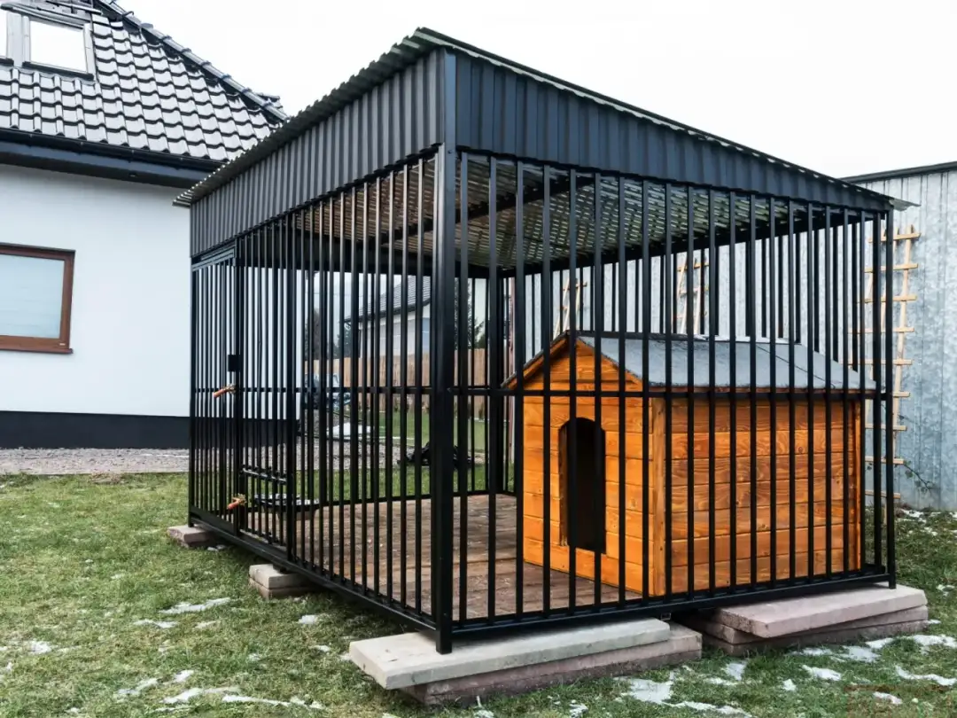 Jaki kojec dla owczarka niemieckiego? Kluczowe wymiary i wymagania