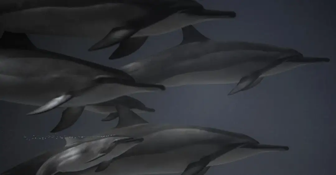 5 kłamstw o delfinach, które utrwaliło kino rodzinne