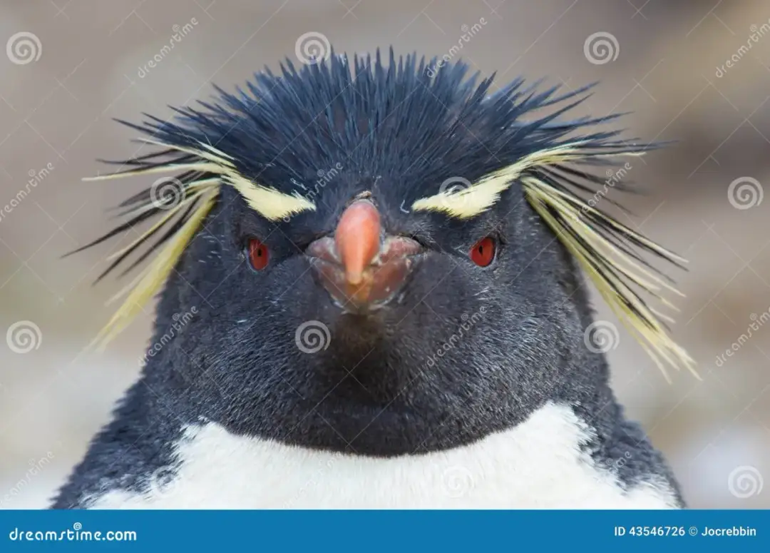 Pingwin: Spojrzenie Krytyczne na kluczowe wątki i postacie serialu