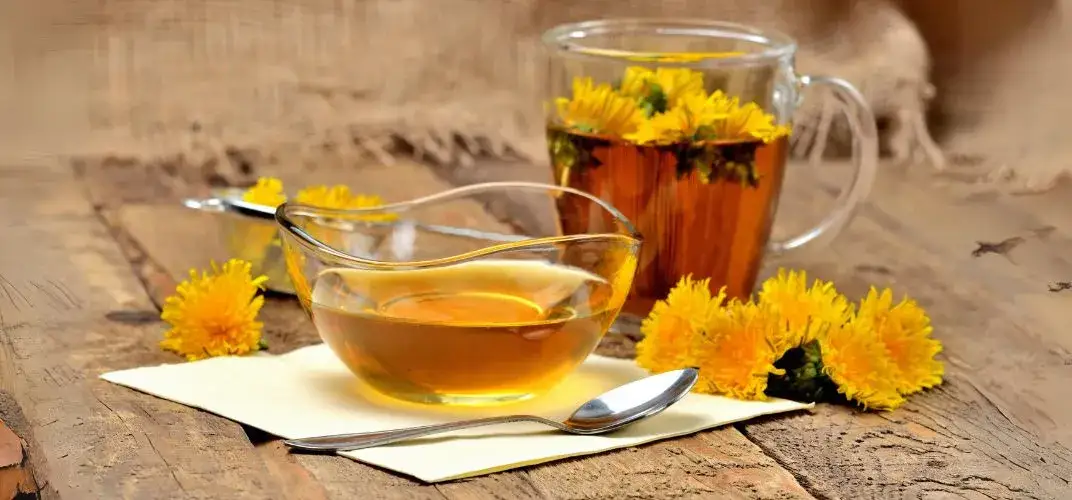 Jak zrobić miód z mlecza - prosty przepis na zdrowy przysmak