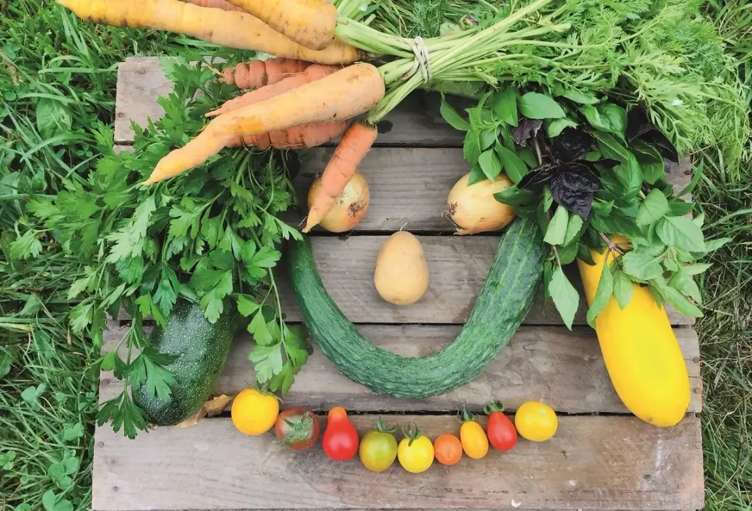 Co uprawiać na małym areale, aby zyskać więcej z małej przestrzeni?
