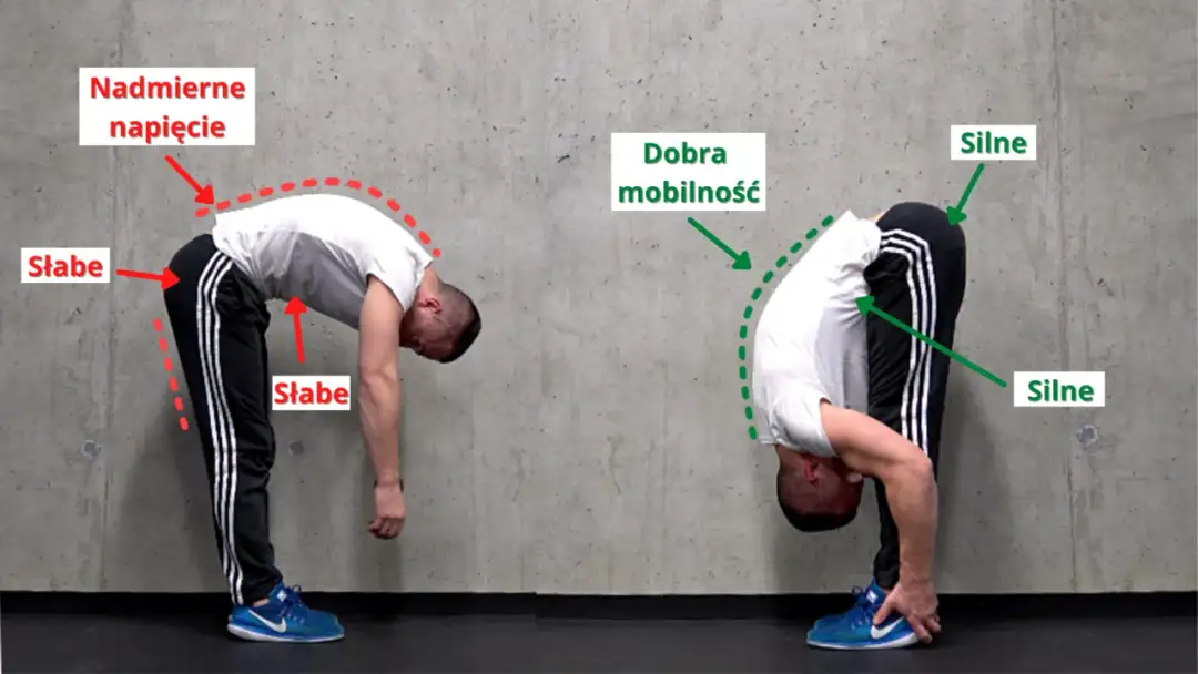 Rozciąganie przed czy po cardio: uniknij kontuzji i popraw wyniki