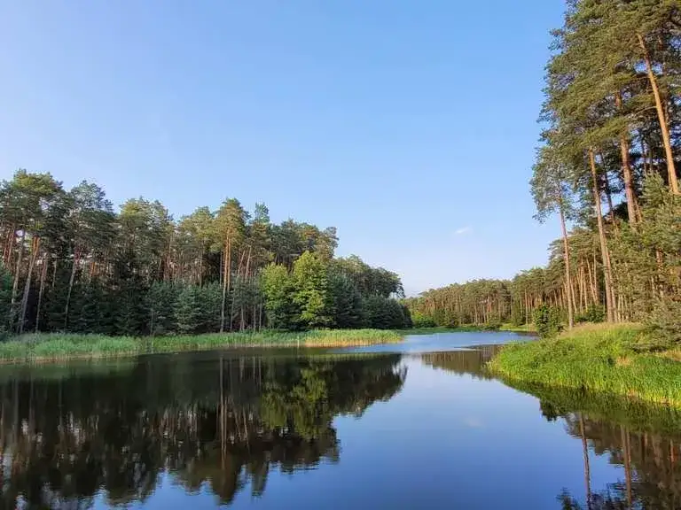 Czarnków atrakcje: najlepsze miejsca dla rodzin i miłośników przyrody