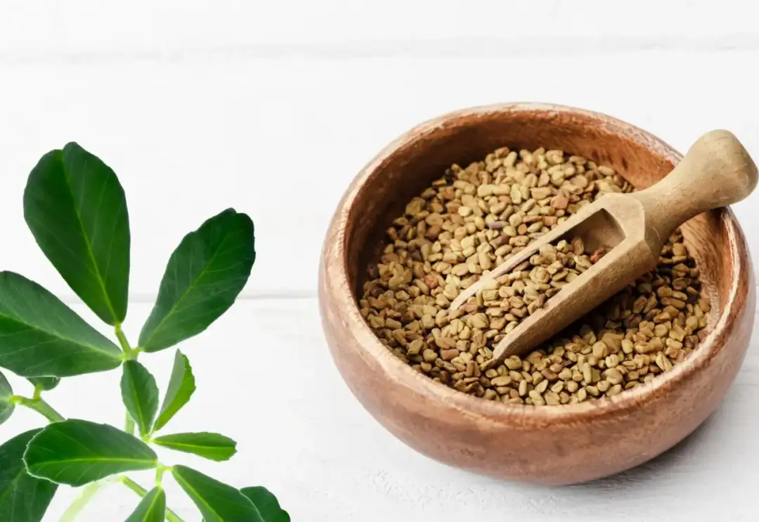 Kozieradka przyprawa do czego? Odkryj jej niezwykłe zastosowania w kuchni