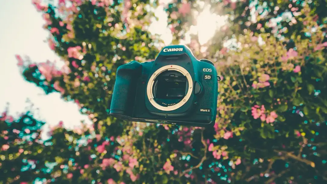 Sprzedaj lustrzankę z zyskiem! Kompletny poradnik krok po kroku