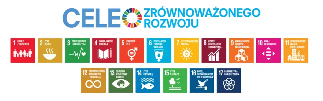 17 celów zrównoważonego rozwoju i ich znaczenie dla przyszłości