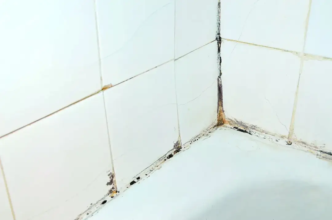 Skuteczne czyszczenie fug w łazience: 5 domowych sposobów