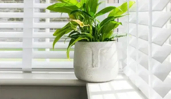 Naprawa i wymiana mechanizmu żaluzji drewnianych poradnik