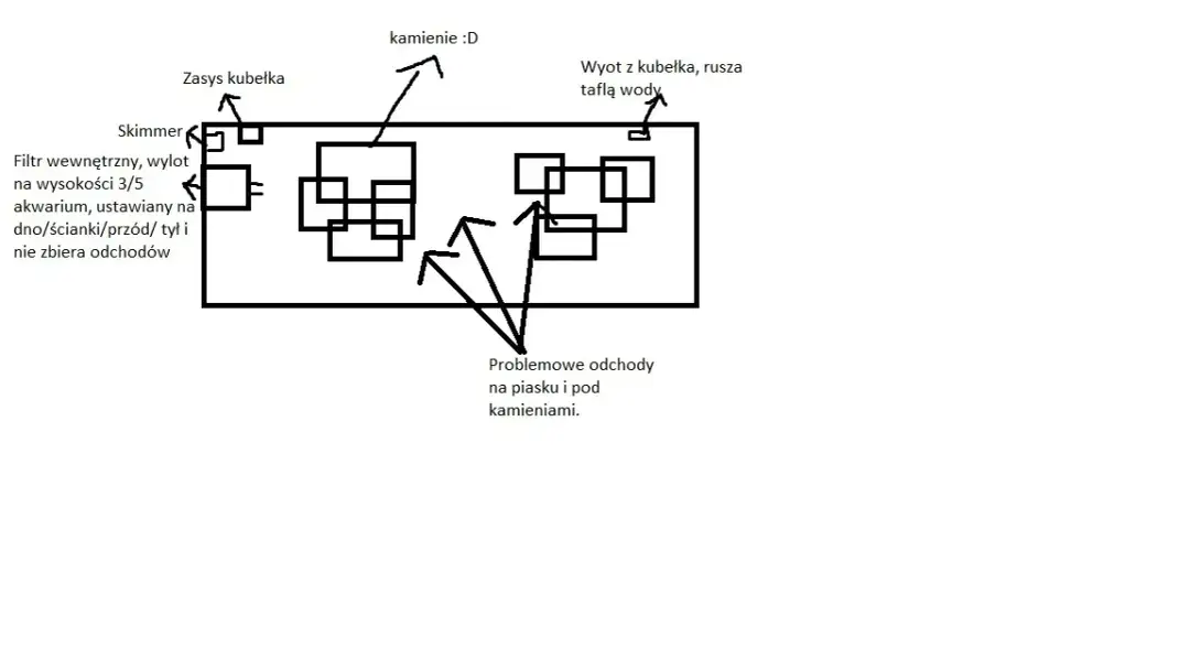 Jak prawidłowo ustawić filtr w akwarium, aby uniknąć problemów z wodą