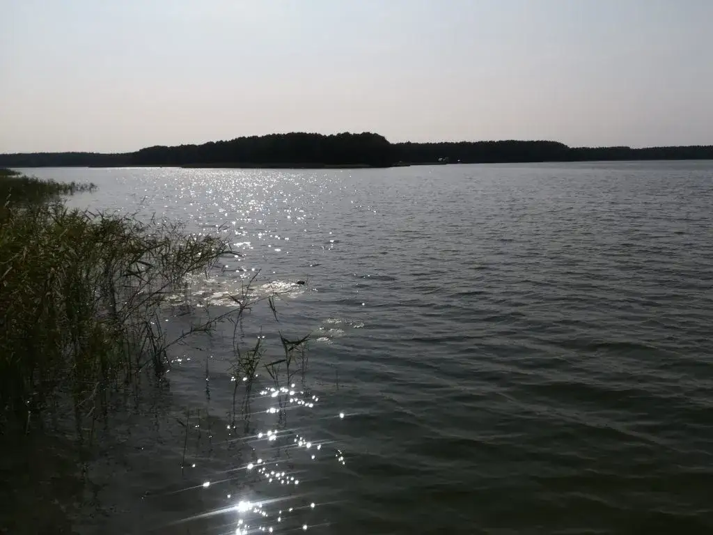 Jezioro Dworackie: raj dla wędkarzy i miłośników natury w Polsce