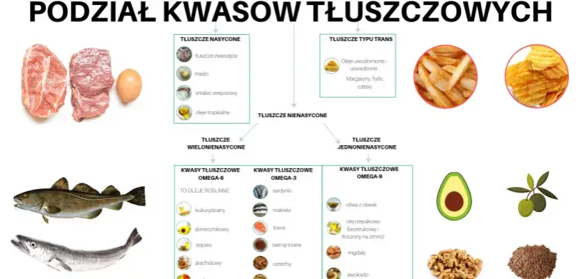 Tłuszcze roślinne czy zwierzęce: co jest zdrowsze dla twojego serca?