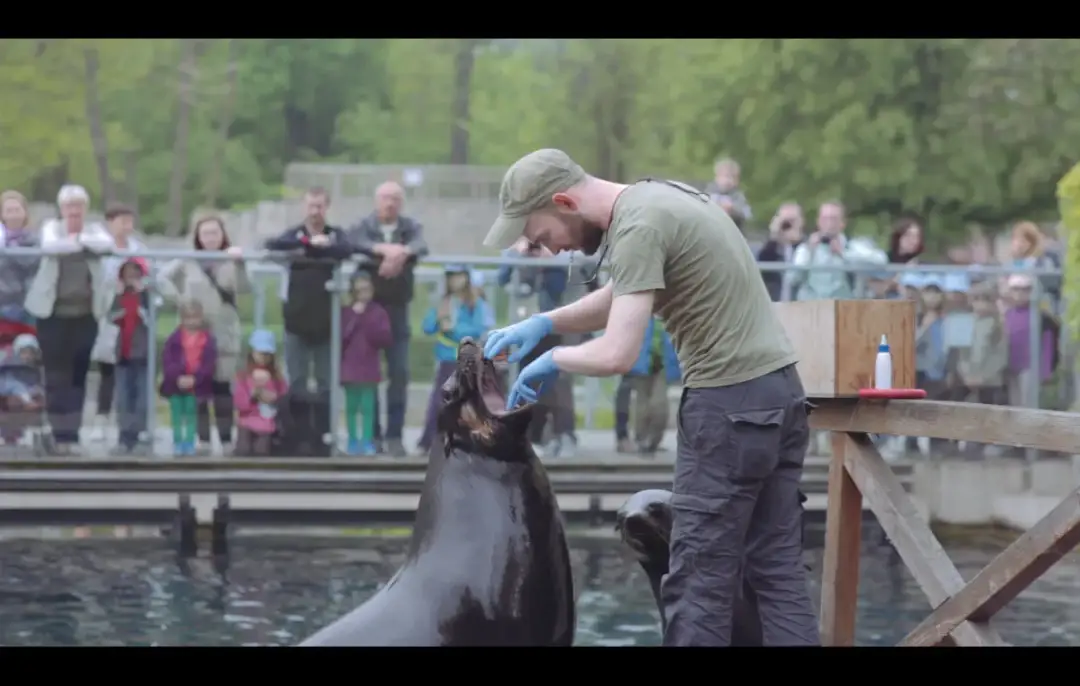 Ile zarabia pracownik zoo? Zaskakujące fakty o wynagrodzeniach