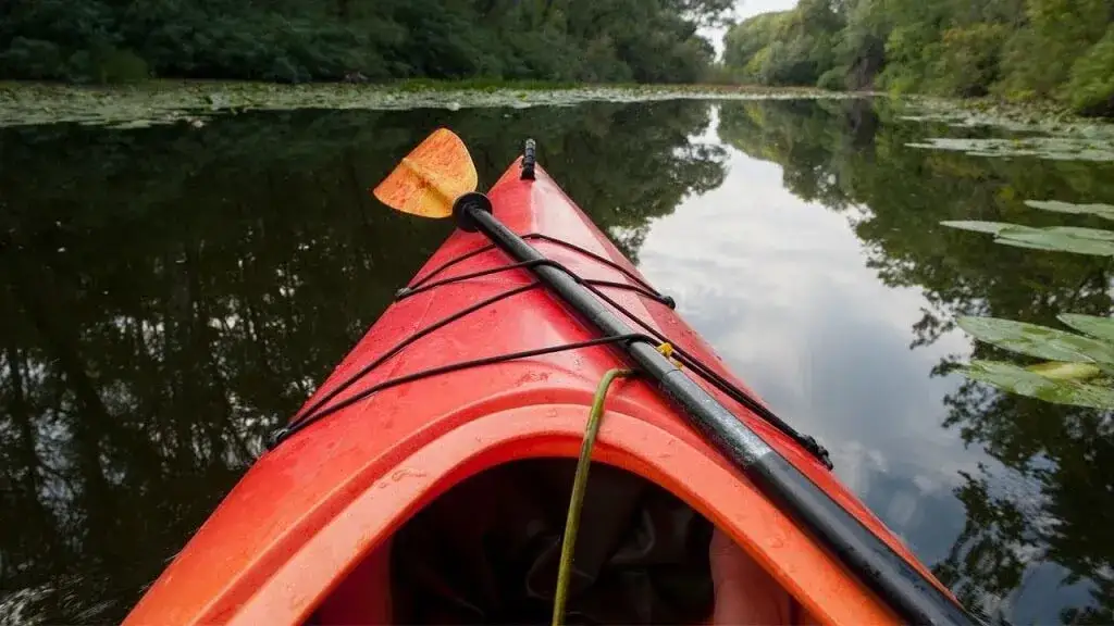 Jaki kajak kupić, aby uniknąć błędów i cieszyć się wędkowaniem?