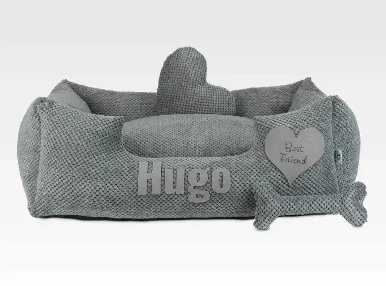 Jakie legowisko dla labradora zapewni maksymalny komfort i wsparcie