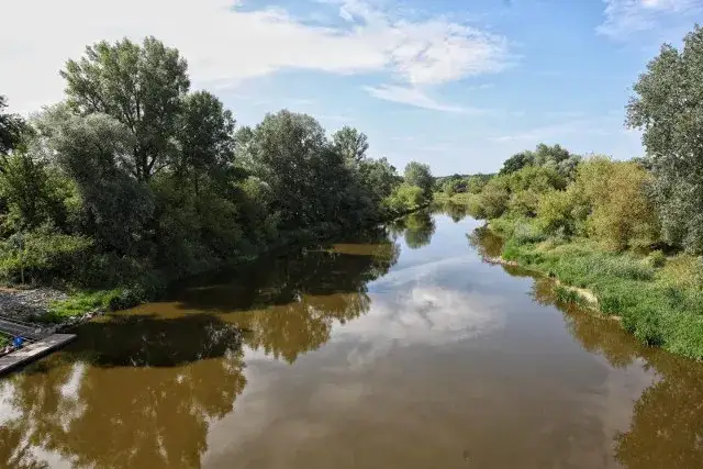 Jezioro Głodowskie - raj dla wędkarzy w Wielkopolsce, mapa i zasady