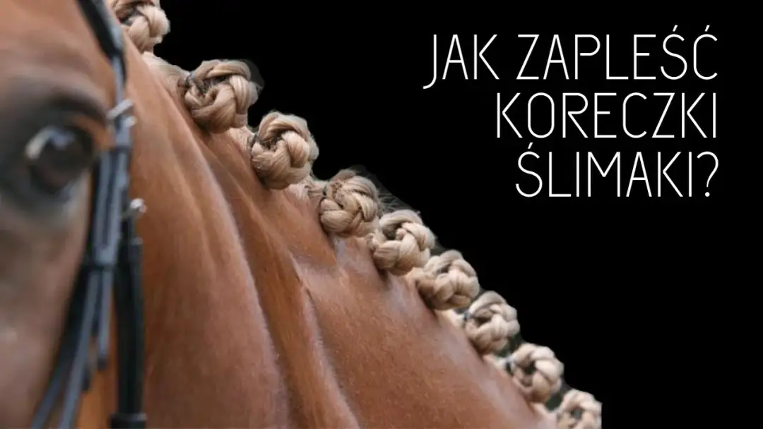 Jak zrobić koreczki u konia - proste kroki, by uniknąć kłopotów z grzywą