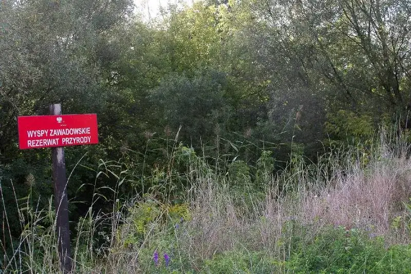 Rezerwat Przyrody Wyspy Zawadowskie – co warto wiedzieć przed zwiedzaniem?