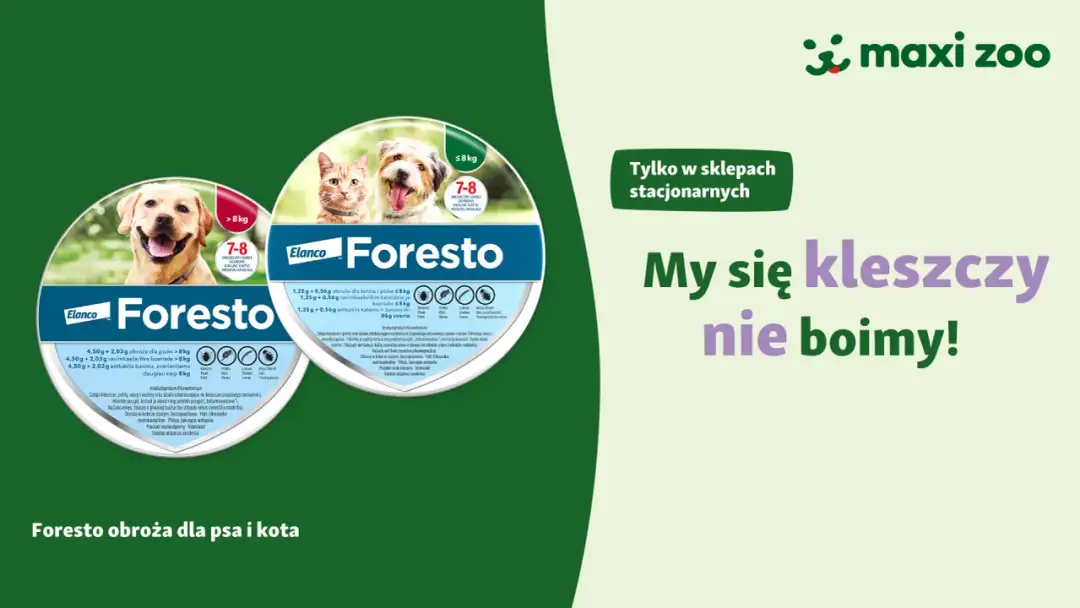Gdzie kupić obrożę Foresto? Sprawdź najlepsze oferty online