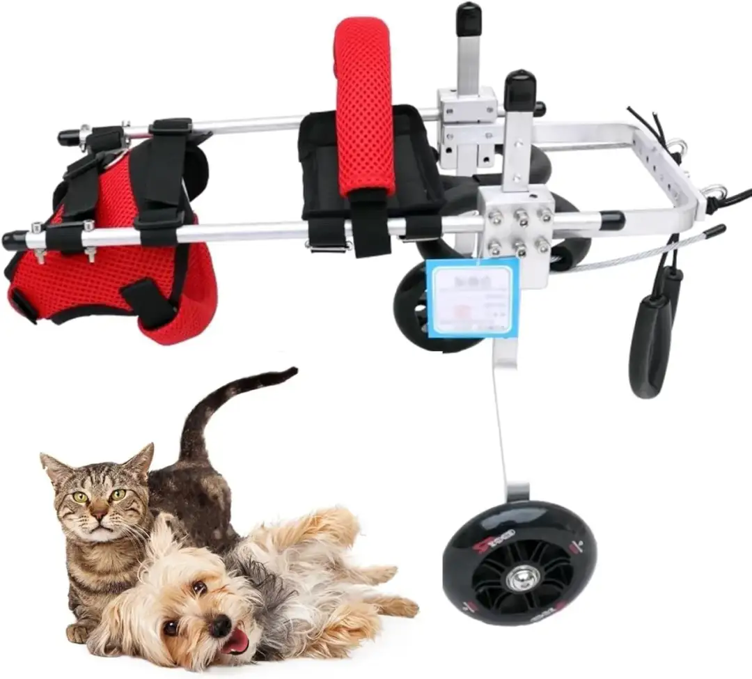 Jak zrobić wózek inwalidzki dla kota – prosty sposób na pomoc zwierzakowi