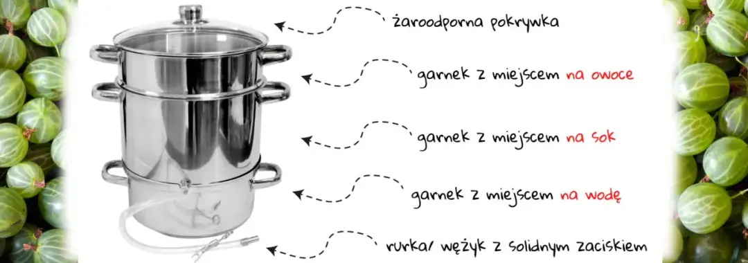 Jak zrobić sok z aroni w sokowniku - proste kroki do smaku zdrowia