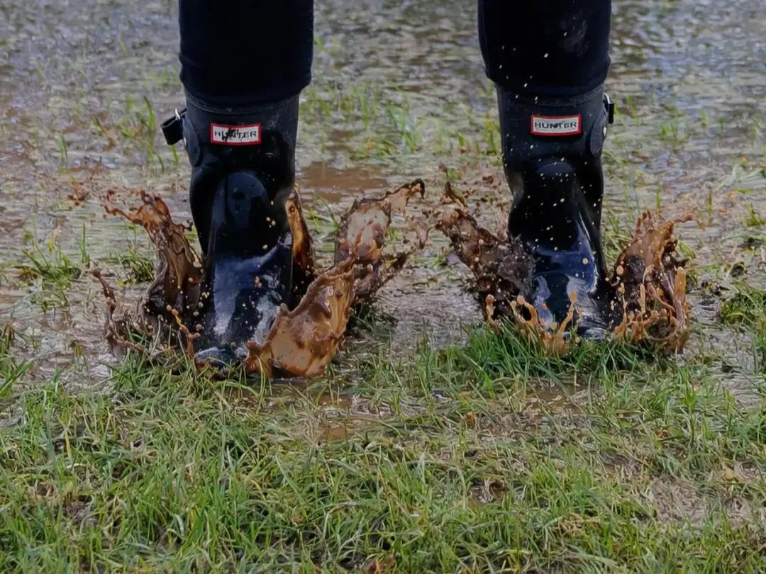 Jak osuszyć działkę? Skuteczne metody na pozbycie się wody