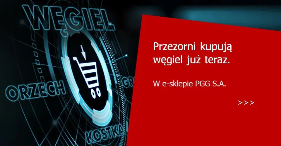 Węgiel na Raty przez Internet | Najtańszy Węgiel na Raty | Ekogroszek na Raty