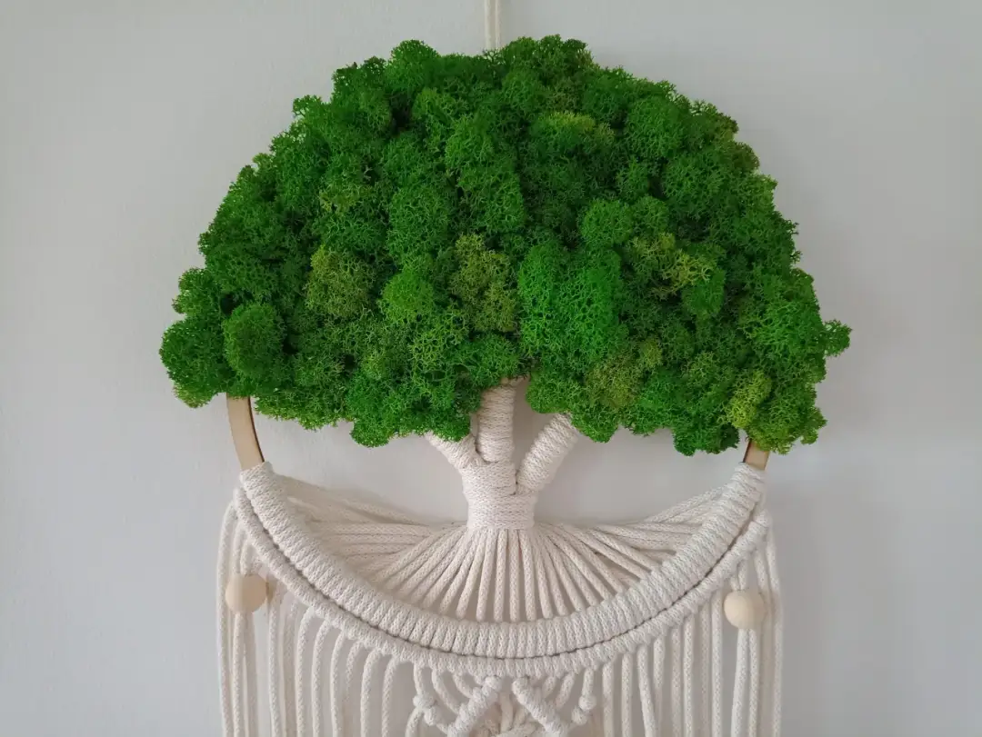 Jak dbać o mech dekoracyjny, aby zachował świeżość i piękno