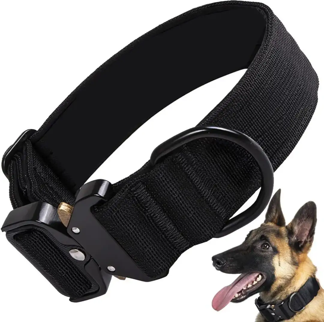 Ile kosztuje obroża dla psa? Sprawdź ceny i porównaj oferty!