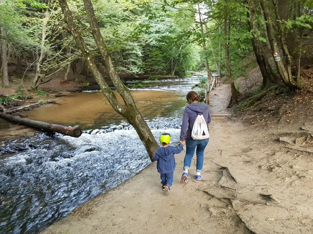 Roztocze Susiec: Malownicza perła natury i kultury na Lubelszczyźnie