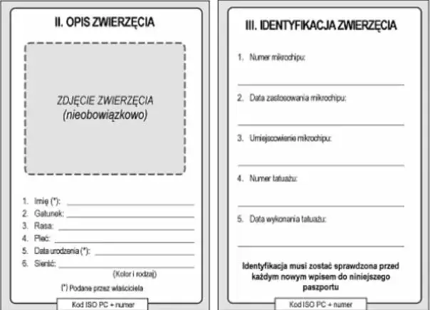 Ile kosztuje wyrobienie paszportu dla psa? Sprawdź, co musisz wiedzieć