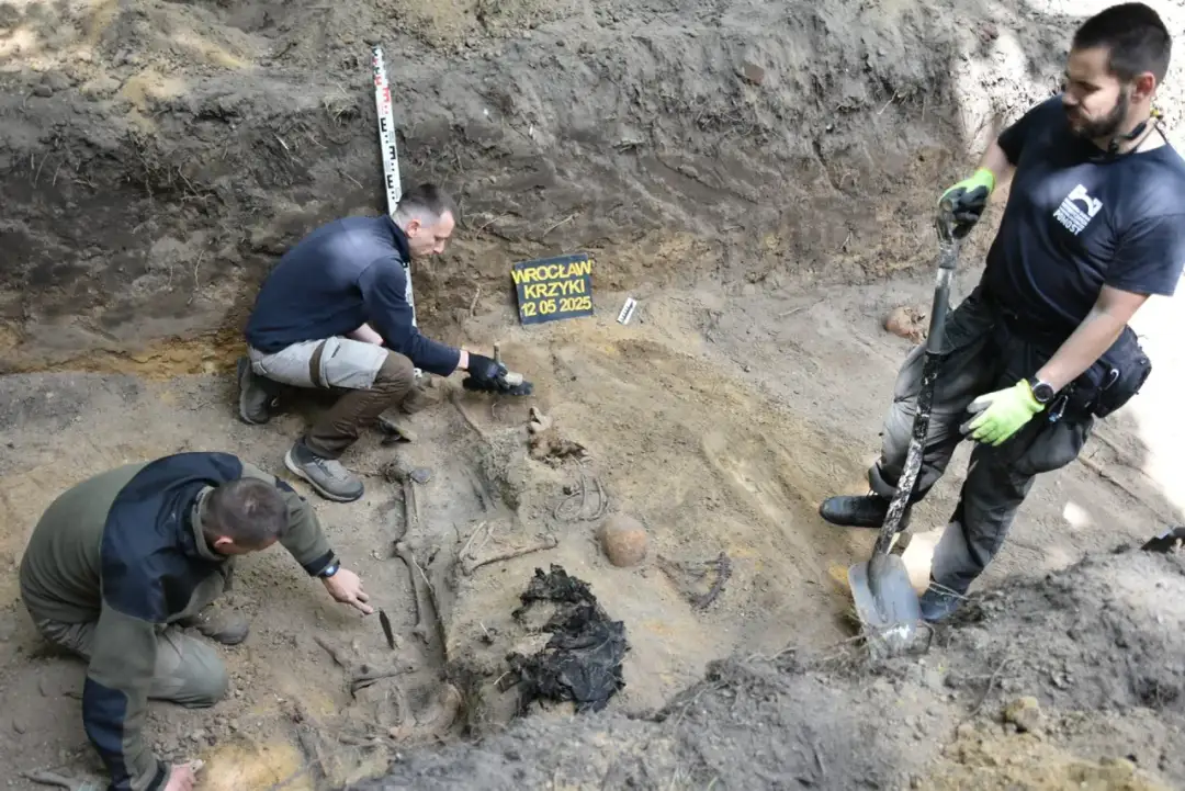 Ekshumacja: Ile kosztuje i jak ją przeprowadzić krok po kroku? Ekshumacja: Ile kosztuje i jak ją przeprowadzić krok po kroku?