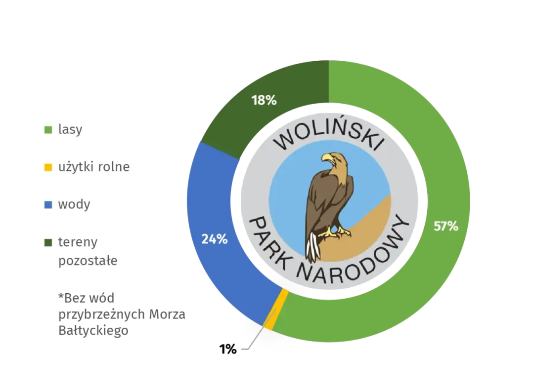 Co jest symbolem Wolińskiego Parku Narodowego? Poznaj orła bielika