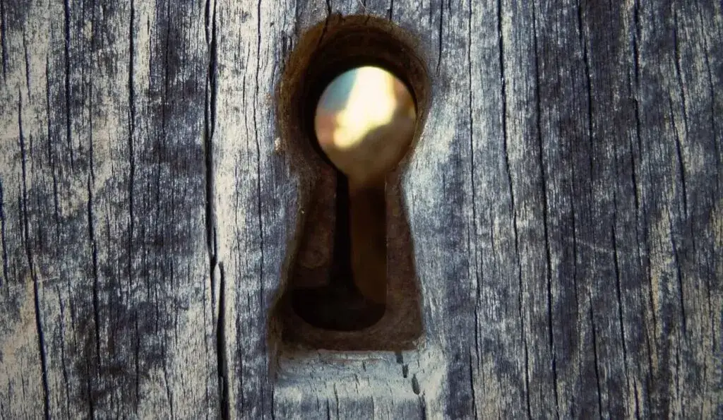 Jak sprawdzić kto jest właścicielem nieruchomości i uniknąć problemów