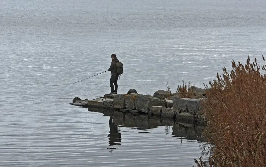 Jaką wędkę kupić, by uniknąć błędów początkującego wędkarza?