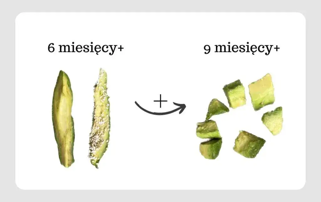 Jak pasta z awokado dla niemowlaka może zapewnić start malucha?