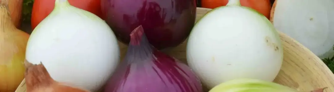 Jak uprawiać cebulę: proste metody i najczęstsze błędy do uniknięcia