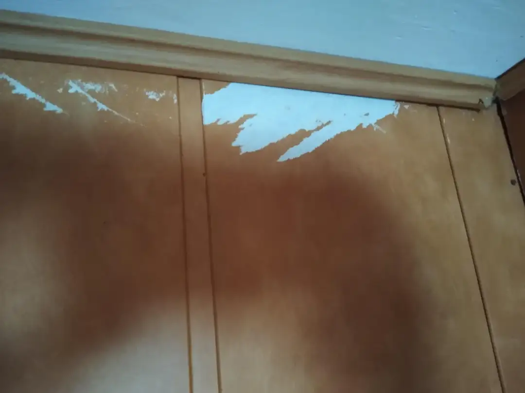 Uszkodzone panele ścienne, białe fragmenty odchodzą. Czy można malować panele ścienne papierowe?