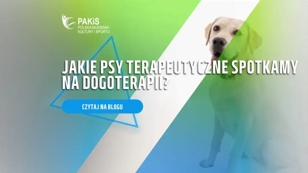 Idealny pies terapeuta: Jak wybrać szczeniaka do dogoterapii?