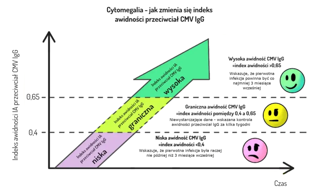 Cytomegalia - kiedy zrobić badanie w ciąży, aby chronić zdrowie?